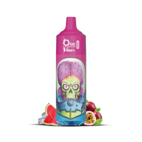 Vape Mojito/Erdbeere Nikotin 20ml 12.000 Züge