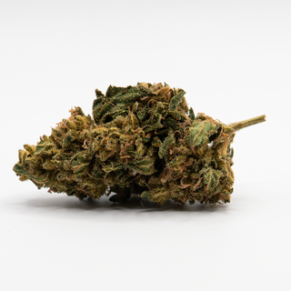 CBD Blüten Cheese