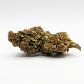CBD Blüten Gorilla Glue