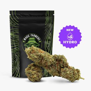 Jealousy 35% THCA Hydro Blüten