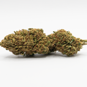 CBD Blüten New York Diesel