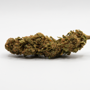 CBD Blüten Nothern Lights