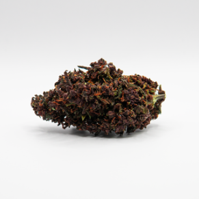 CBD Blüten Purple Haze