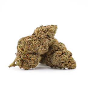 Bloody Mary 40% CBG9 Blüten (1g-100g)